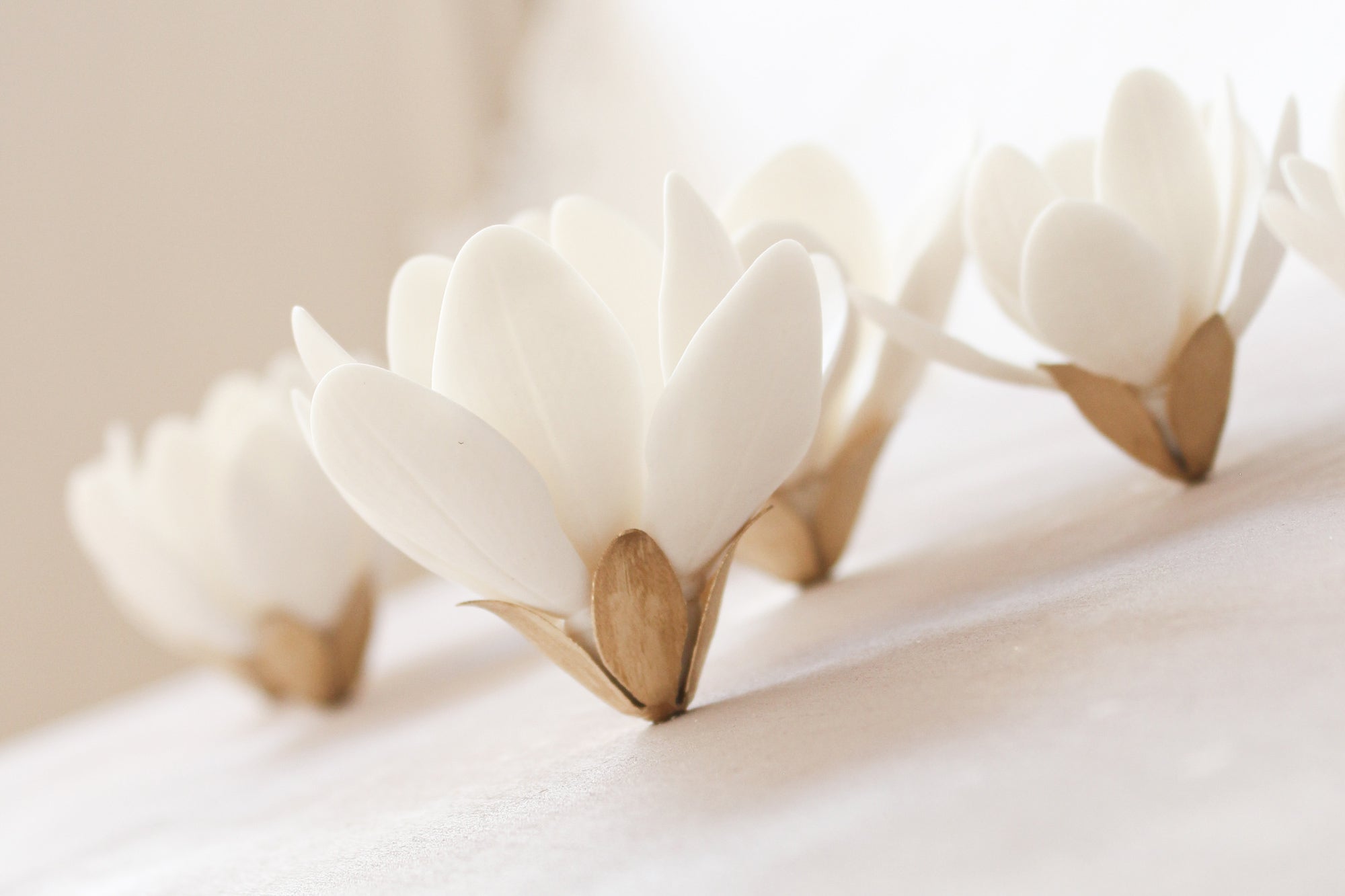 White Porcelain and Brass Magnolias