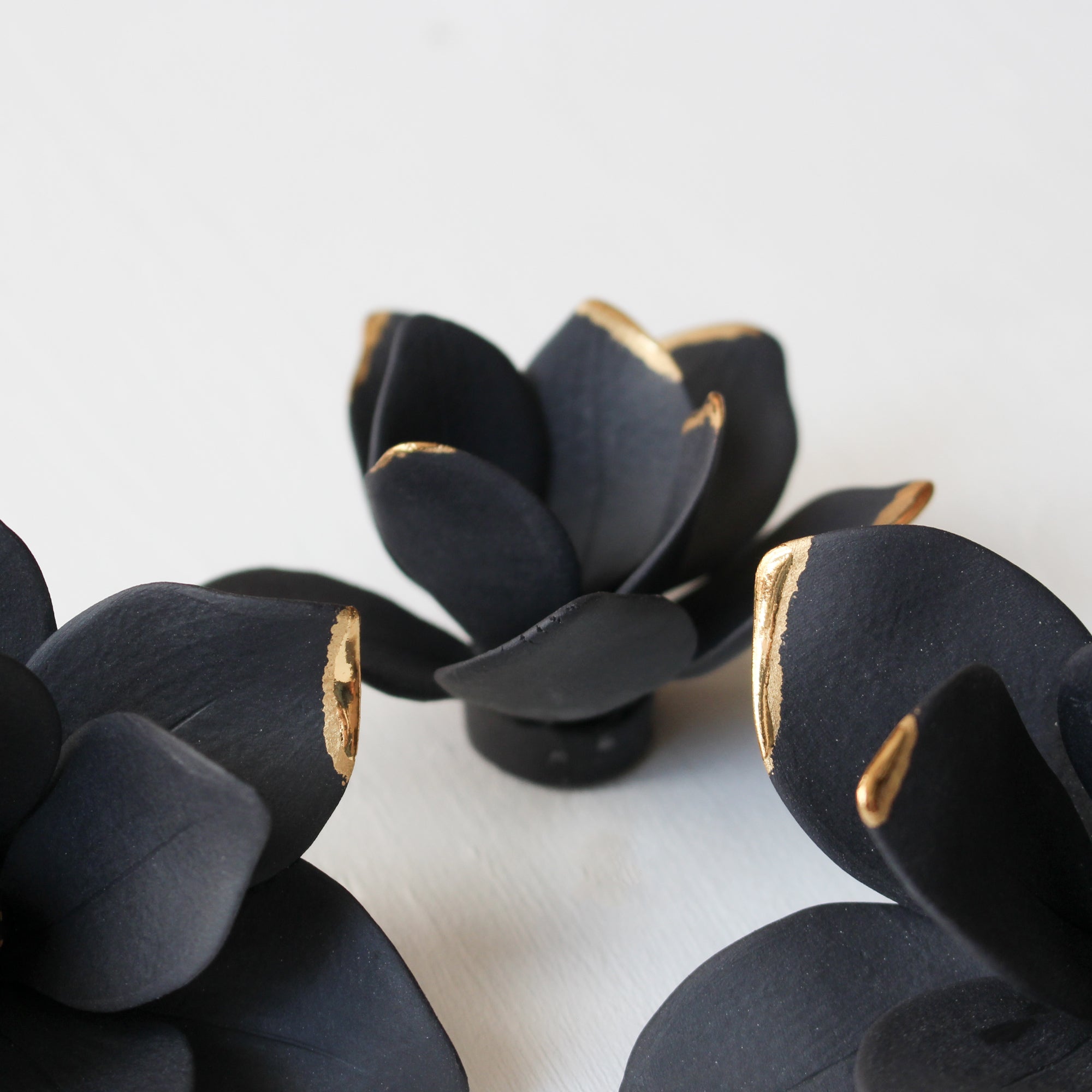 Black Magnolias