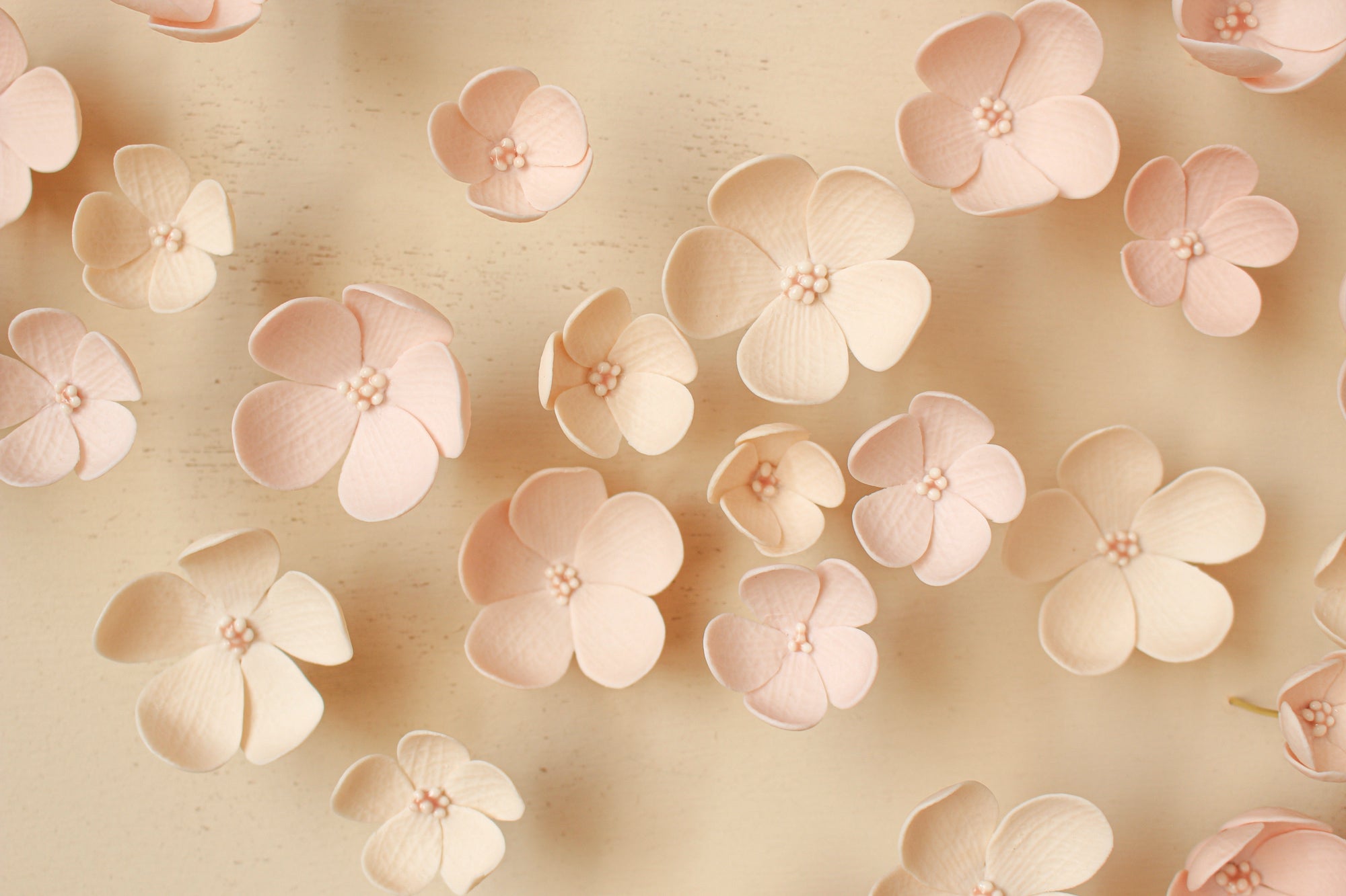 Pink Blossom Wall Art by Alain Granell