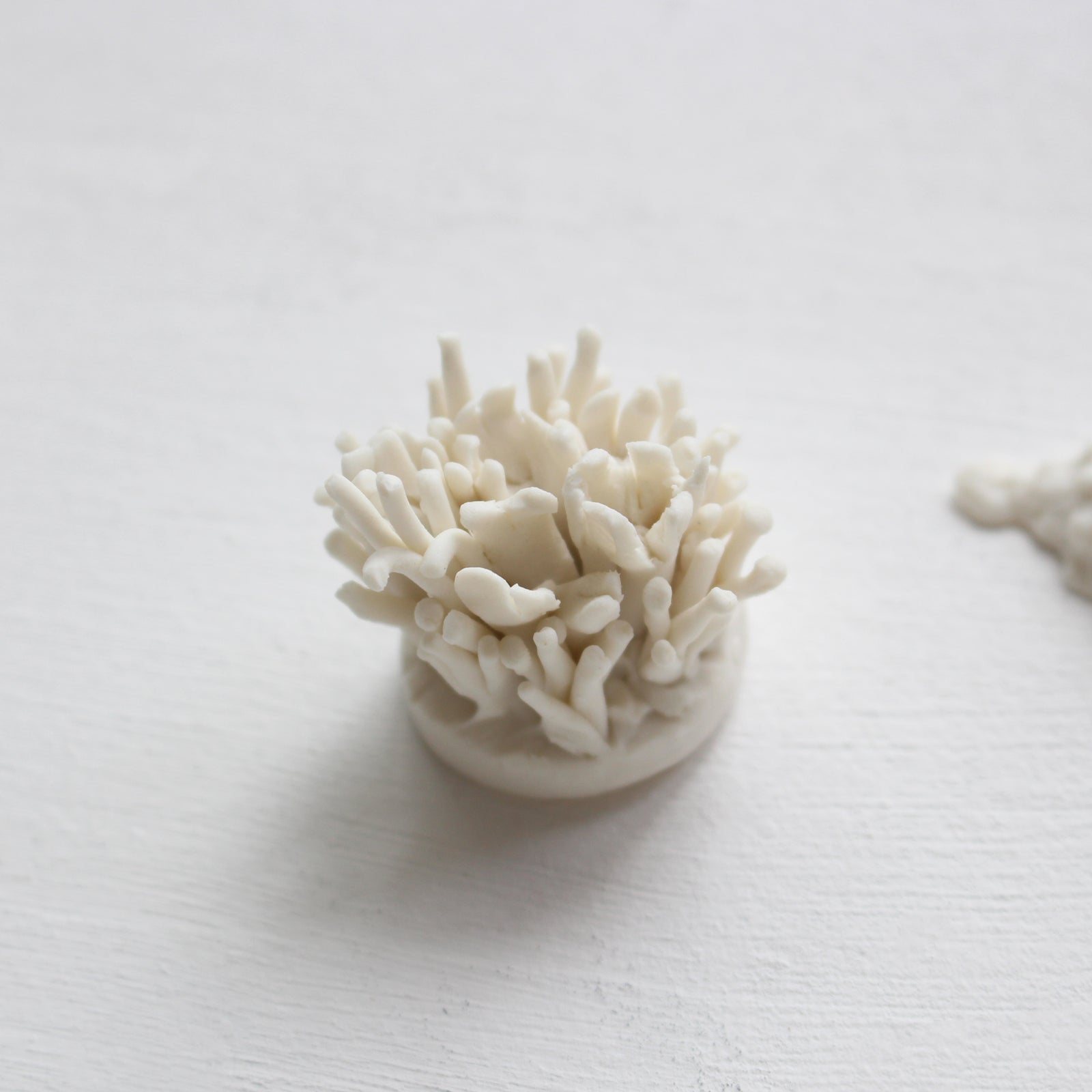 Handmade Porcelain Corals Wall Art by Alain Granell