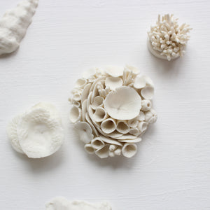 Porcelain Corals Wall Art by Alain Granell