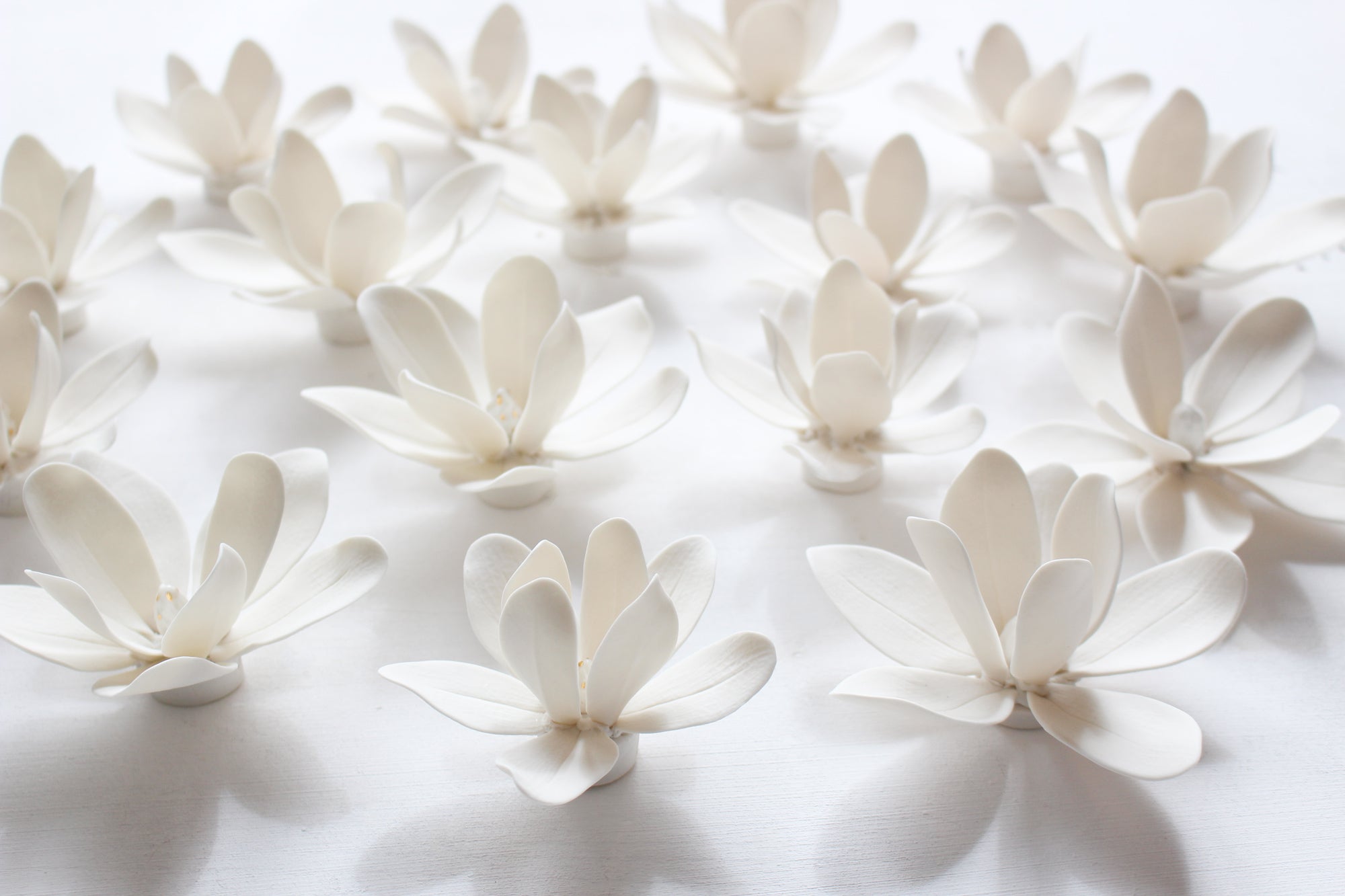 Wall Decor of Porcelain Magnolias by Alain Granell