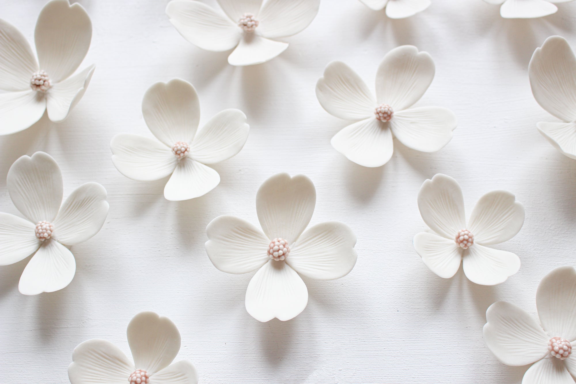 Dogwood Flowers