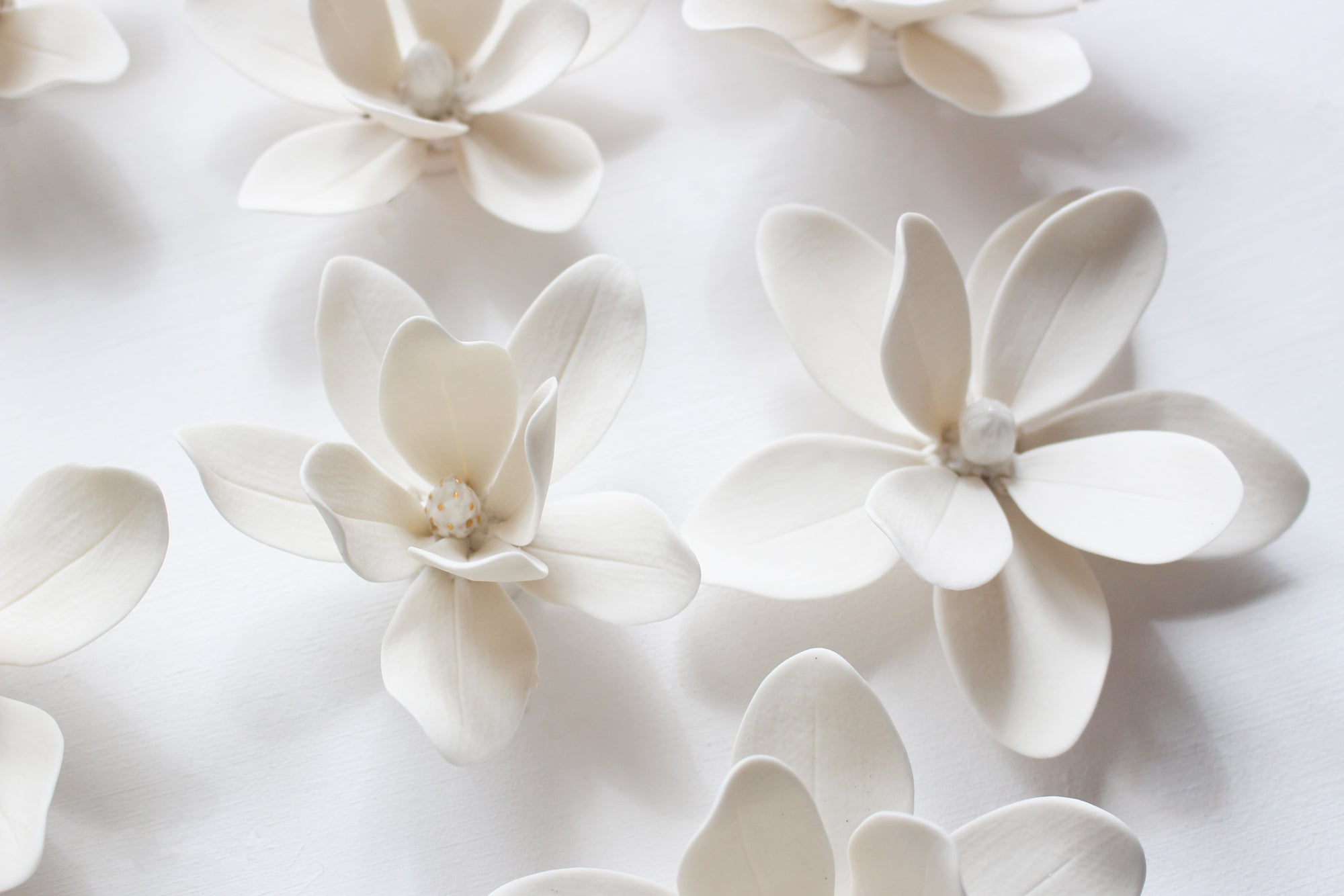 Wall Decor of Porcelain Magnolias by Alain Granell