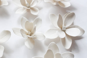 Wall Decor of Porcelain Magnolias by Alain Granell