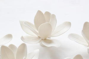 Wall Decor of Porcelain Magnolias by Alain Granell