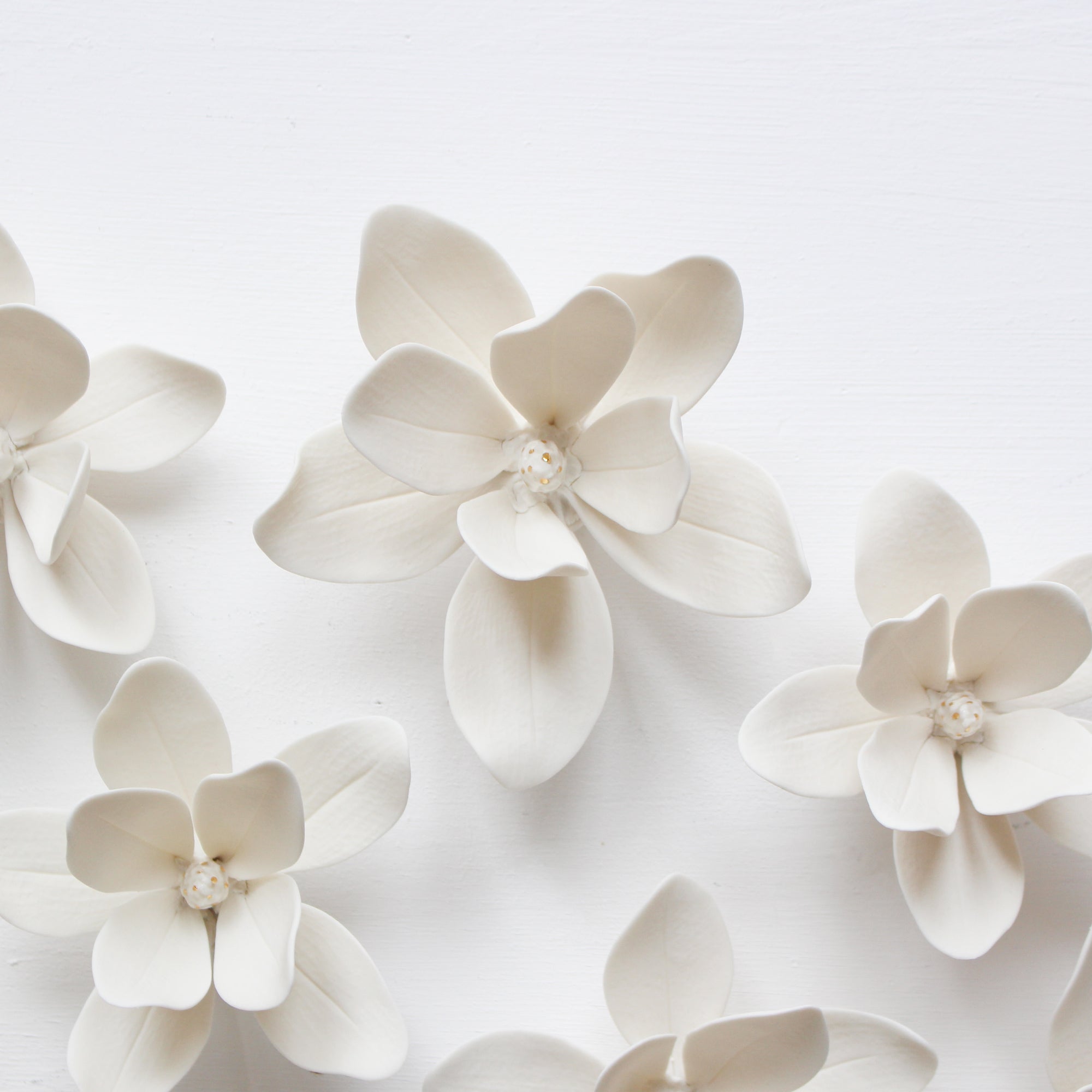 Wall Decor of Porcelain Magnolias by Alain Granell