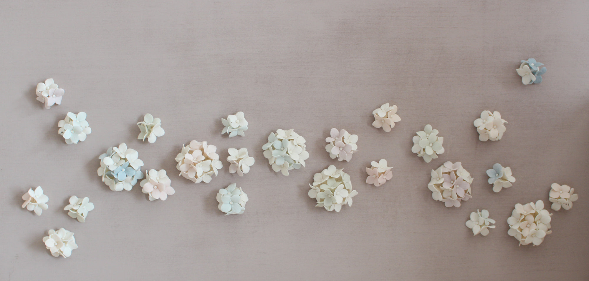 Bouquets of Multicolor Hydrangeas