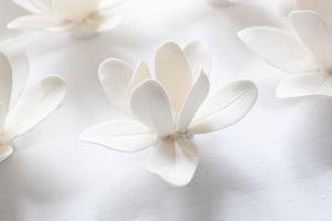 Wall Decor of Porcelain Magnolias by Alain Granell