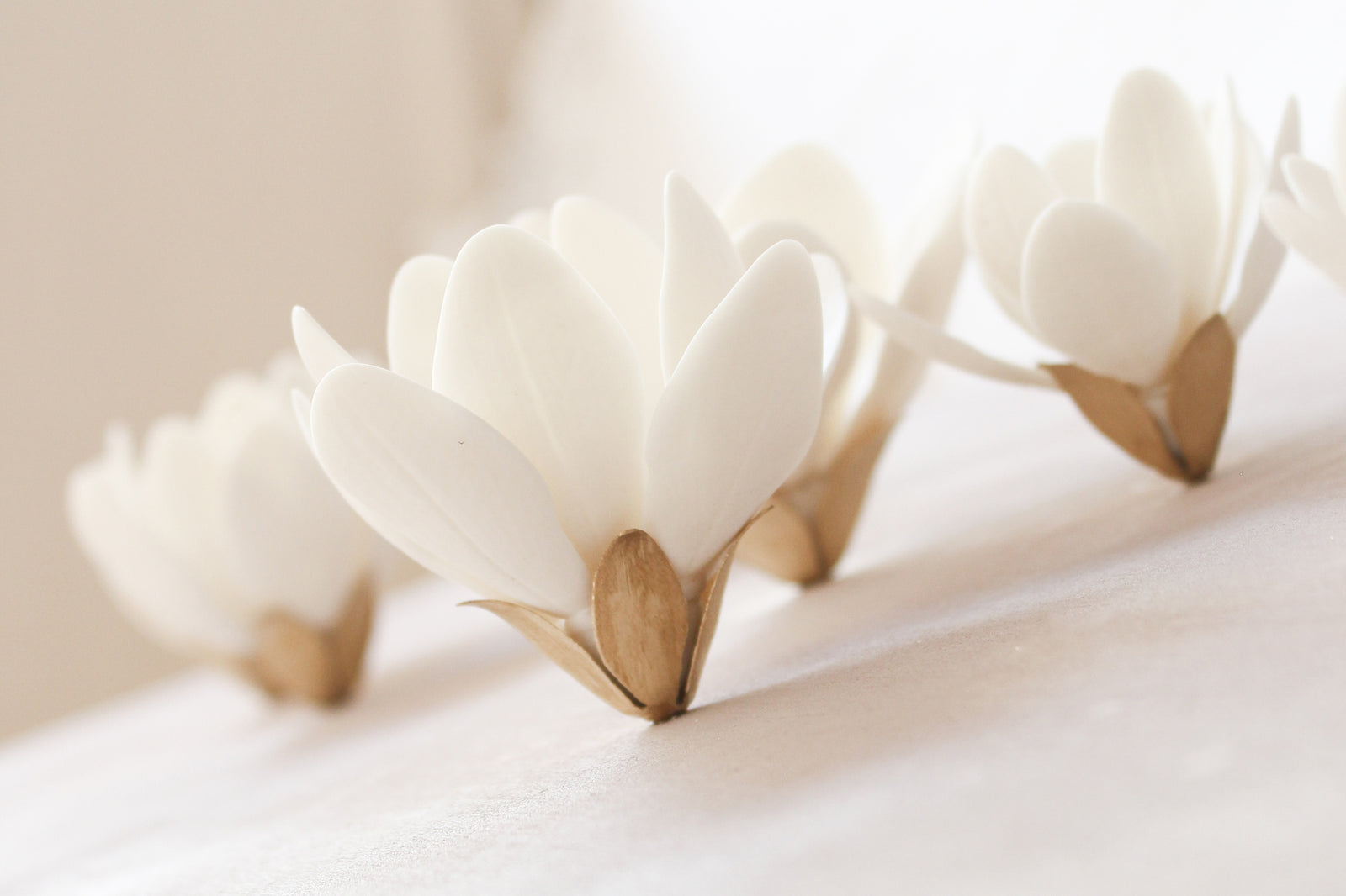White Porcelain and Brass Magnolias Wall Art by Alain Granell