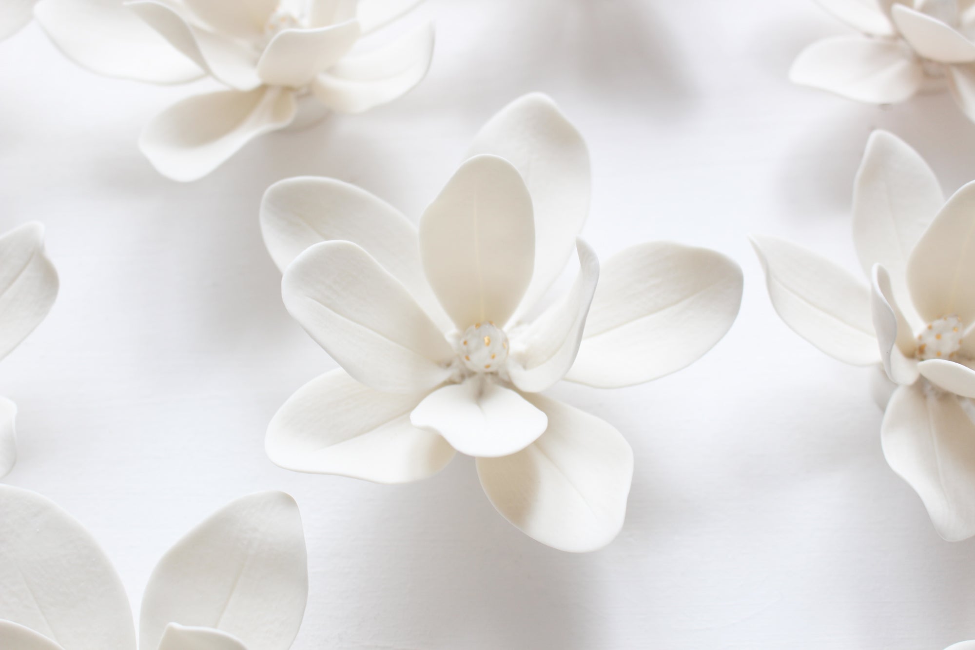 Wall Decor of Porcelain Magnolias by Alain Granell