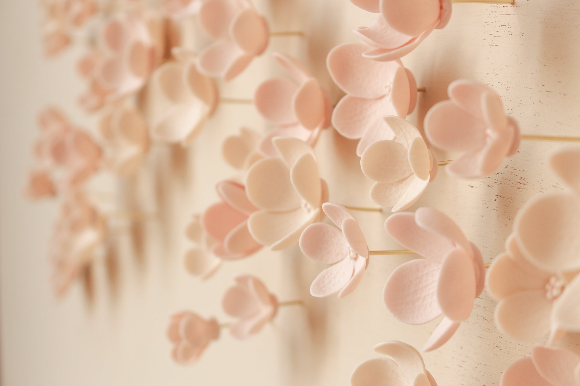 Pink Blossom Wall Art by Alain Granell