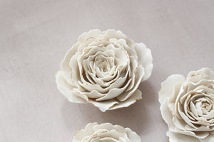 Pivoines Blanches et Or