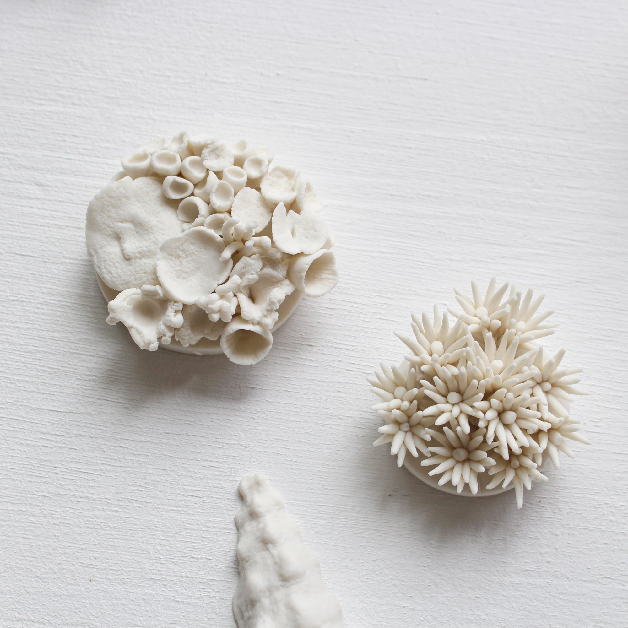 Porcelain Corals Wall Art by Alain Granell