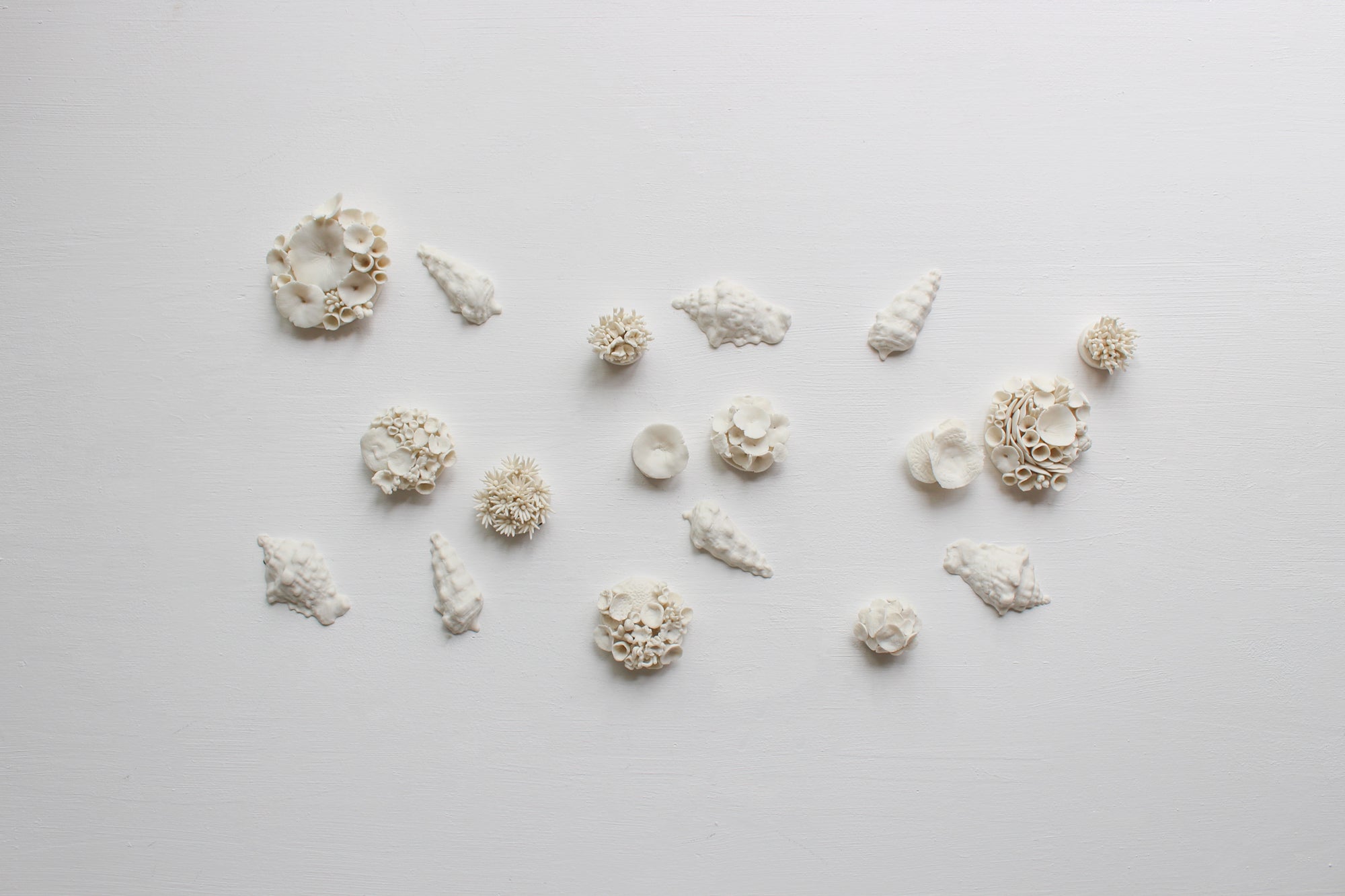 Porcelain Corals Wall Art by Alain Granell