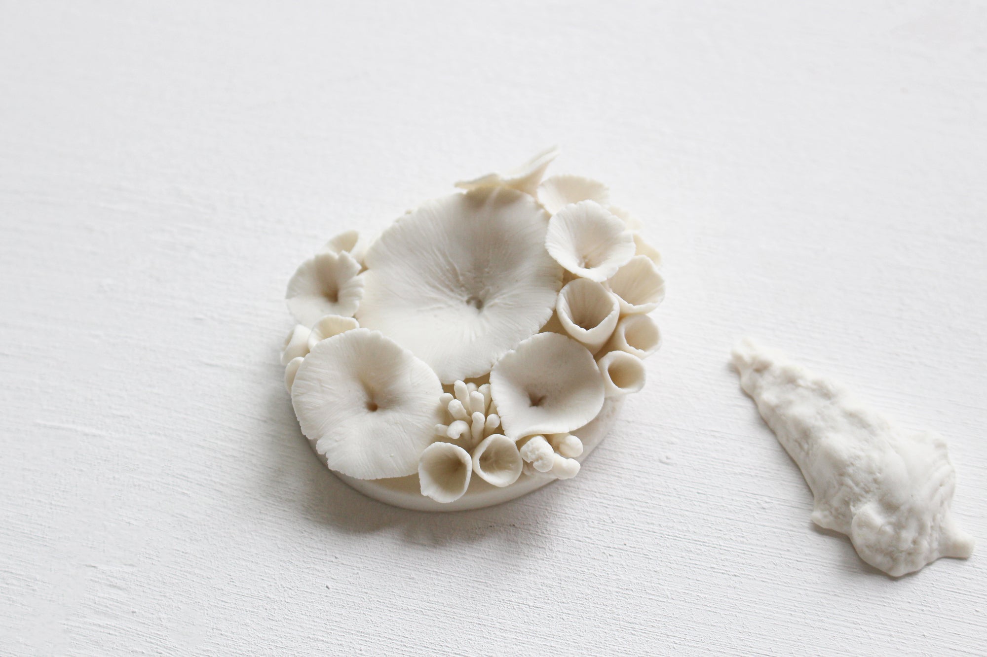 Porcelain Corals Wall Art by Alain Granell