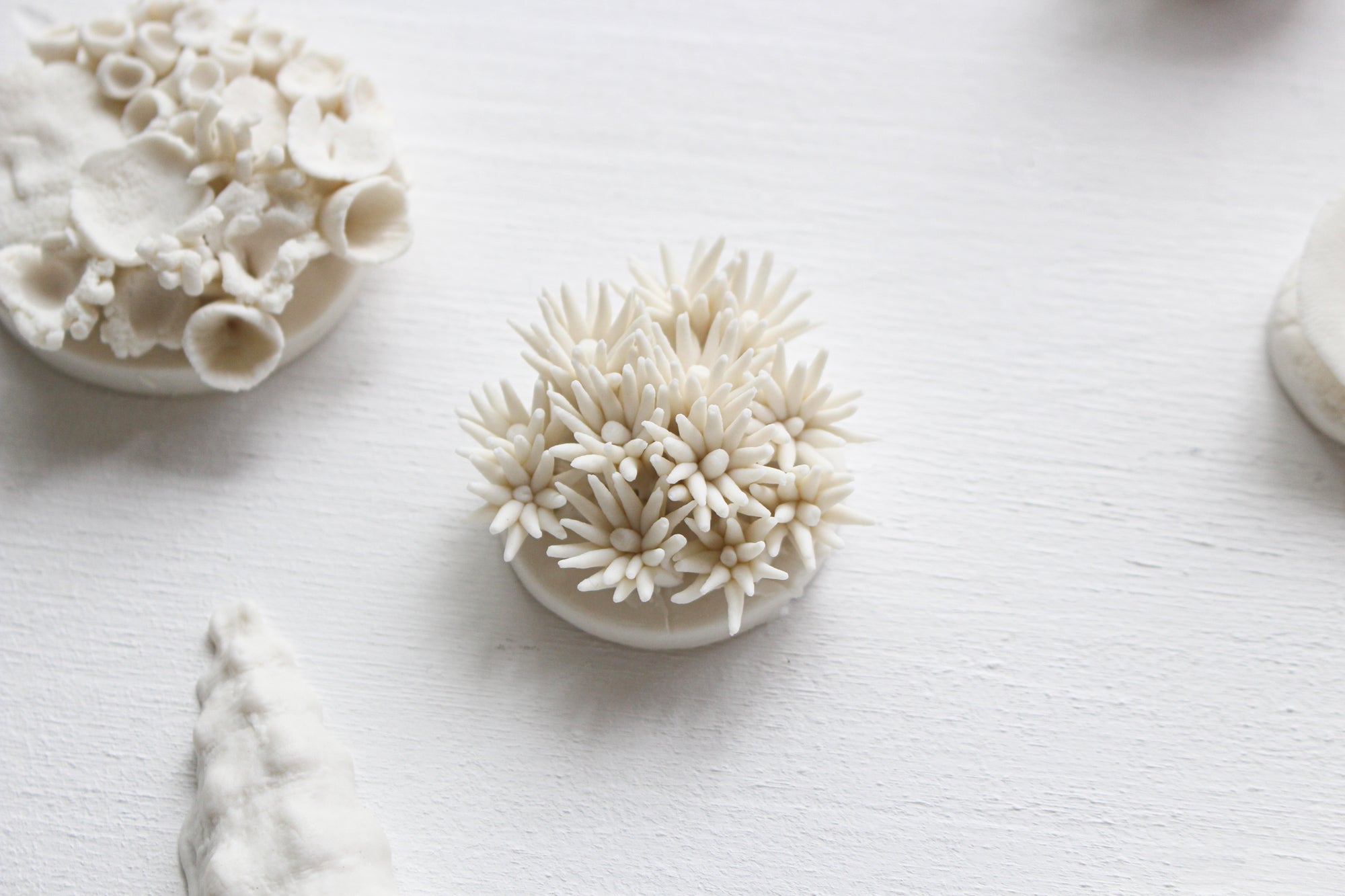 Porcelain Corals Wall Art by Alain Granell