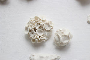 Porcelain Corals Wall Art by Alain Granell