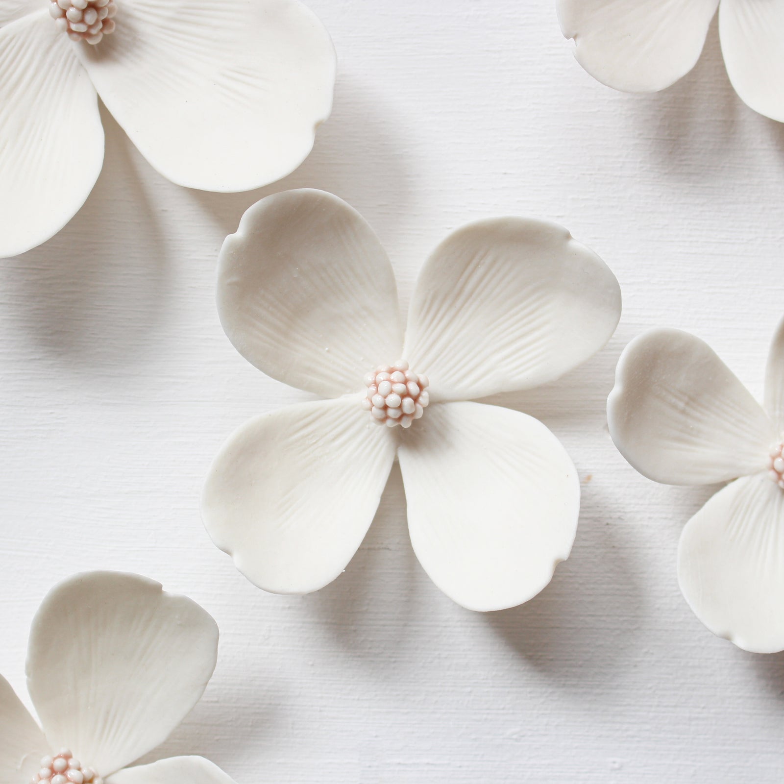 Porcelain Dogwood Flowers by Alain Granell