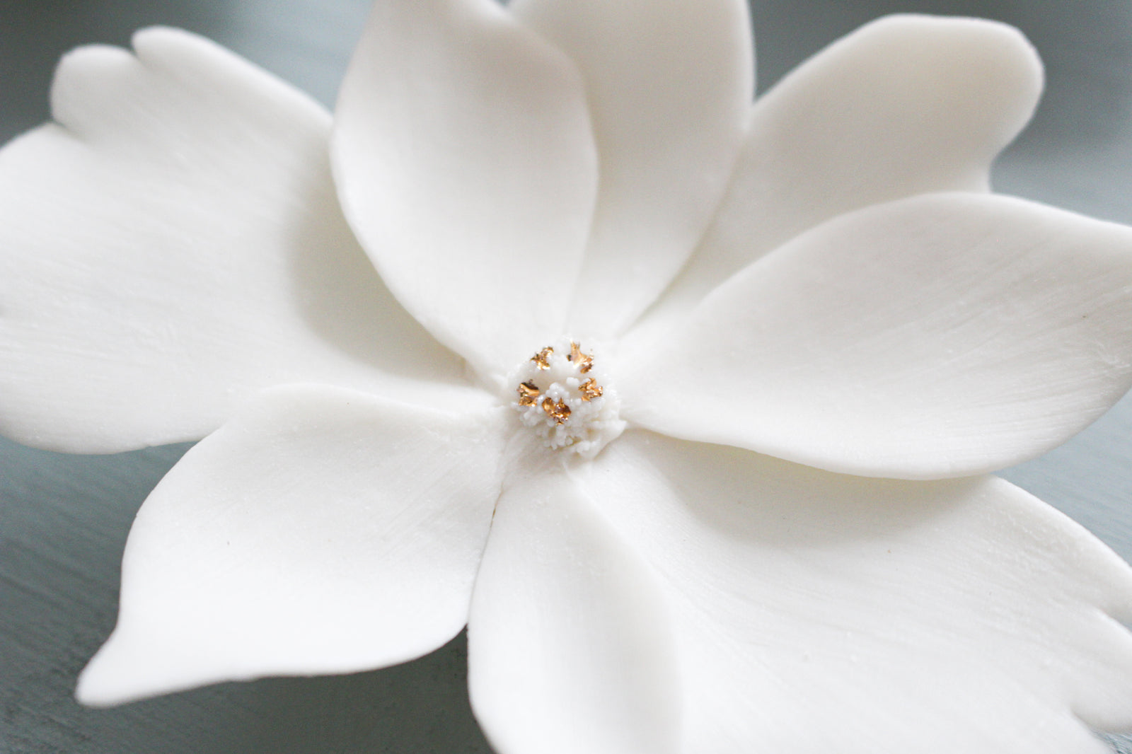 Wall Decor of Porcelain Flowers by Alain Granell