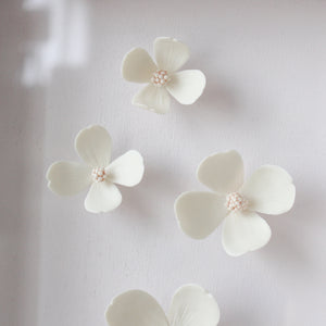 Dogwood Flowers Frame