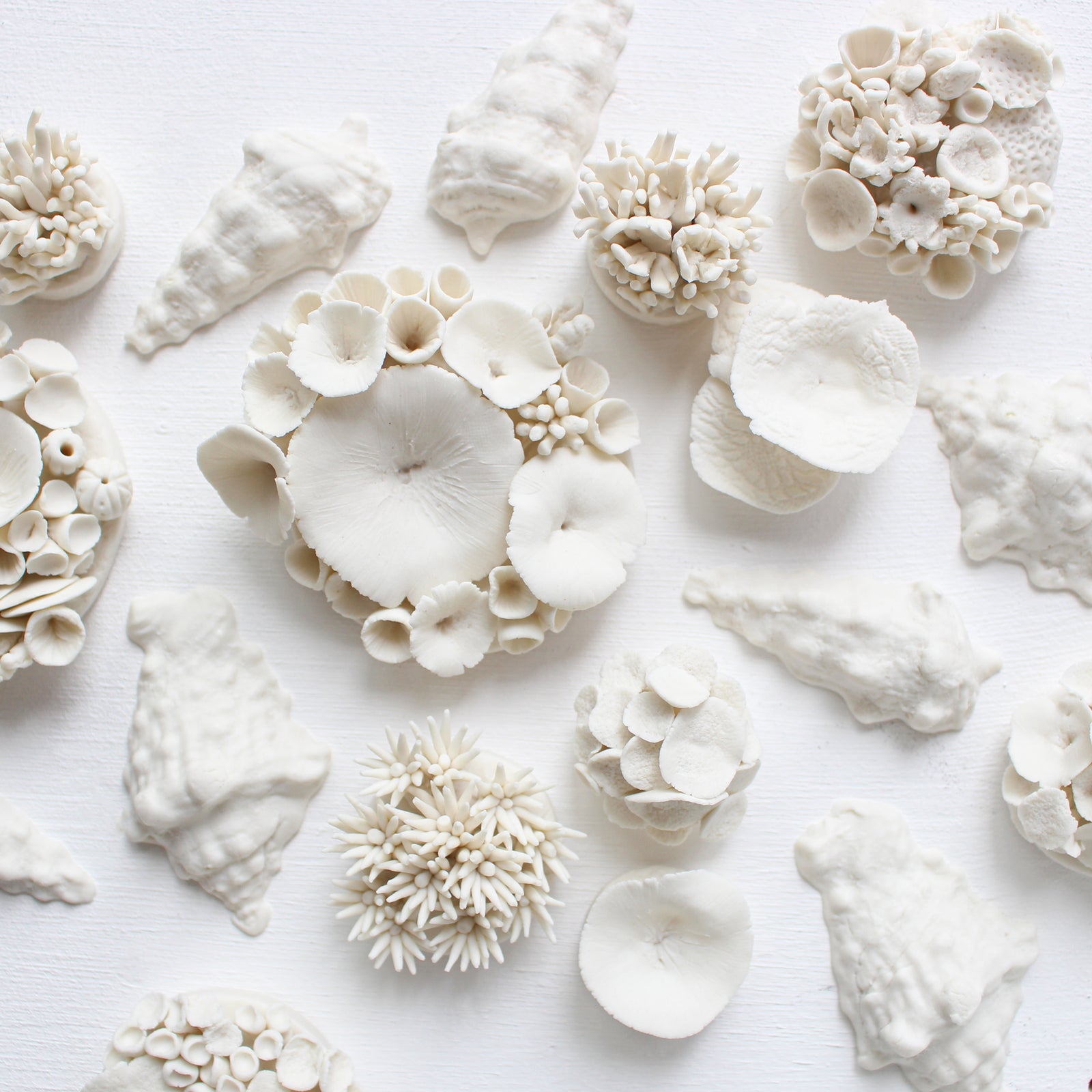 Handmade Porcelain Corals Wall Art by Alain Granell