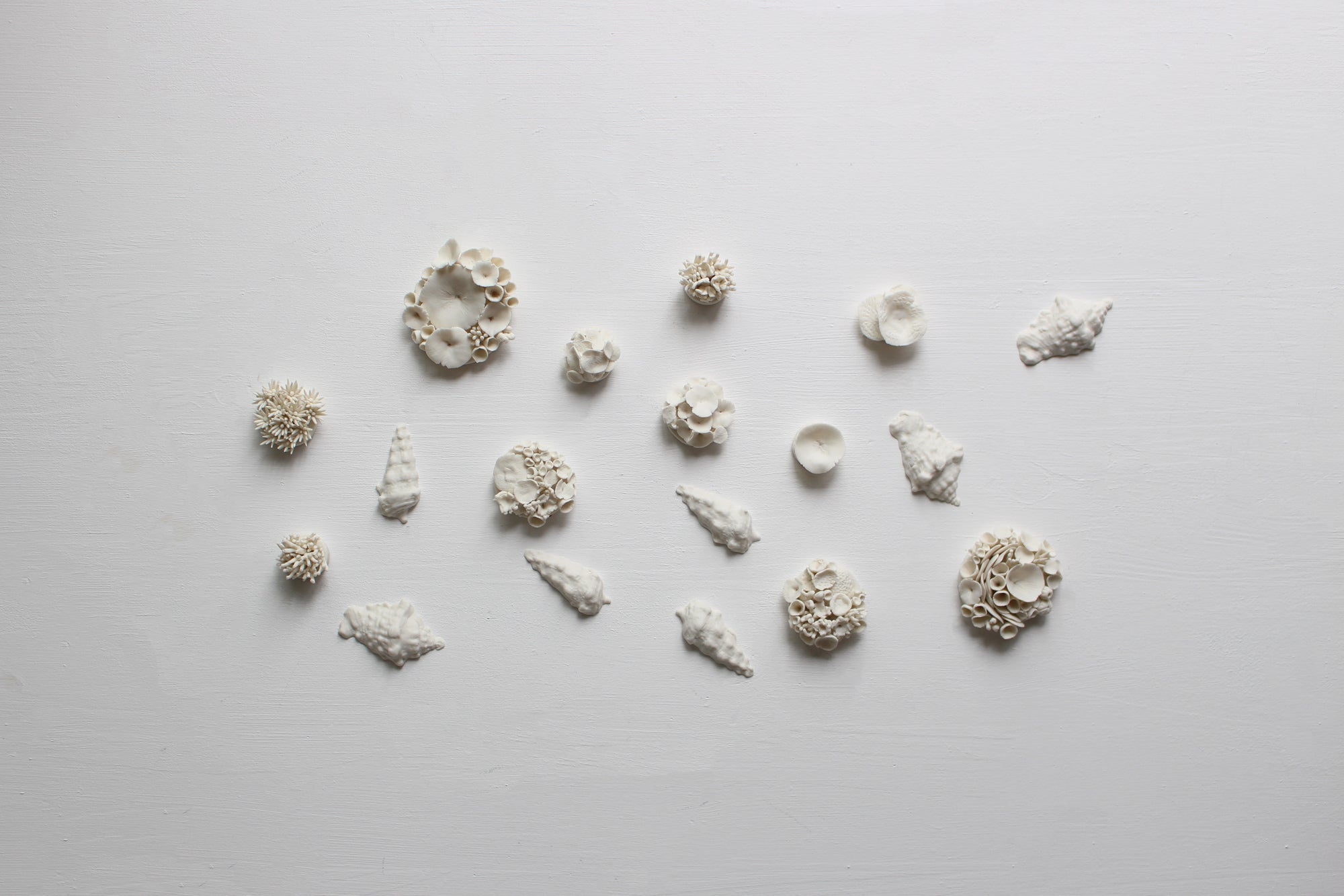 Porcelain Corals Wall Art by Alain Granell