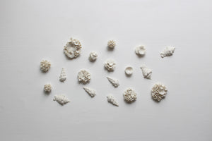 Porcelain Corals Wall Art by Alain Granell