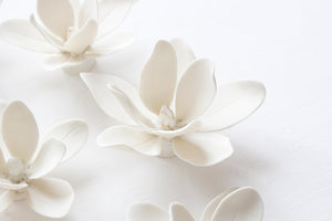 Wall Decor of Porcelain Magnolias by Alain Granell