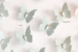 Choose your color Cute Porcelain Butterflies