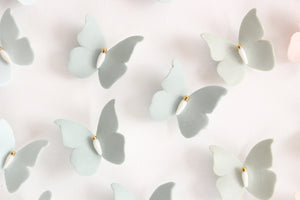 Papillons Arc-en-Ciel