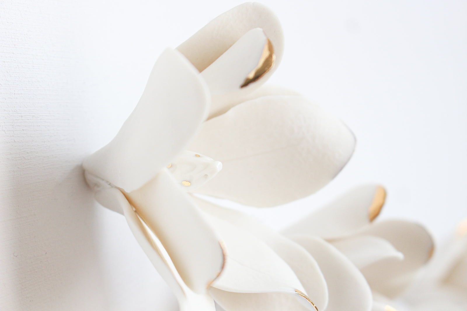 White and Gold Porcelain Magnolias by Alain Granell
