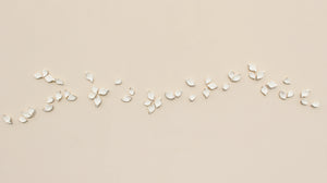 White Autumn Porcelain Leaves Wall Art handmade in France by Alain Granell