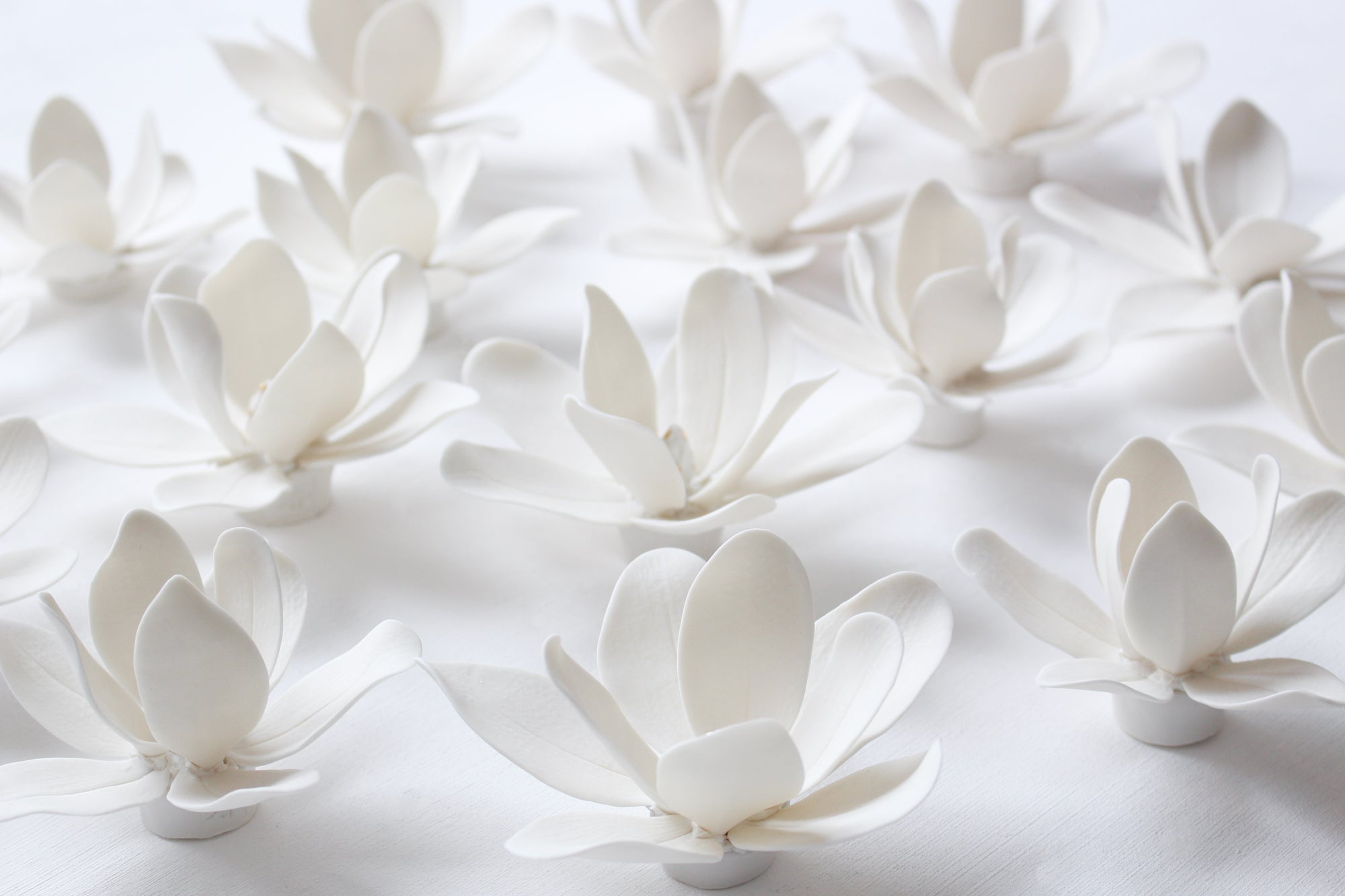 Wall Decor of Porcelain Magnolias by Alain Granell