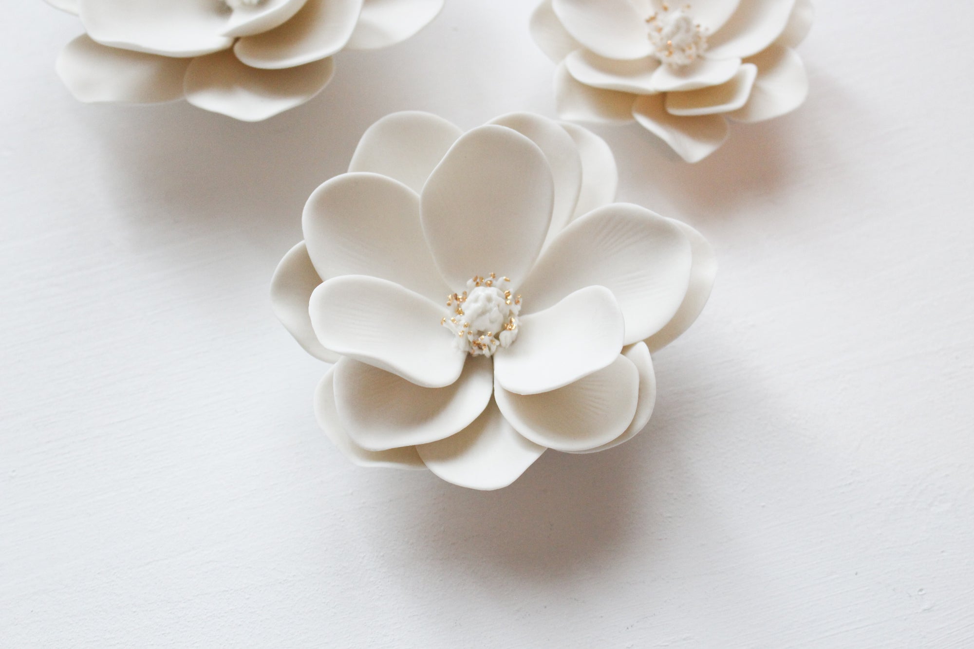 Gardenia Flowers