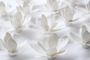 Wall Decor of Porcelain Magnolias by Alain Granell