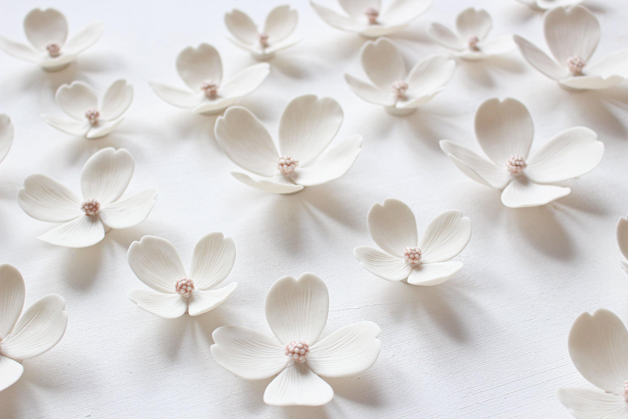 Dogwood Flowers