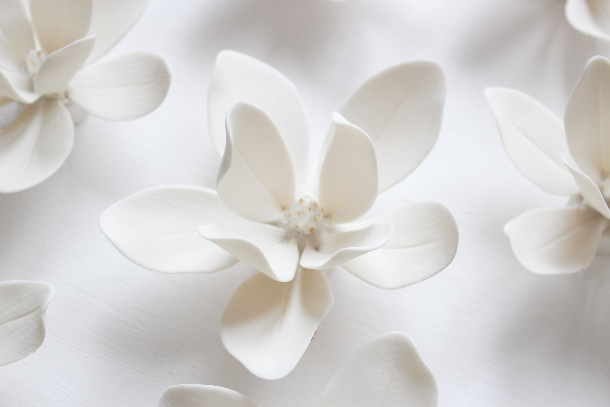 Wall Decor of Porcelain Magnolias by Alain Granell