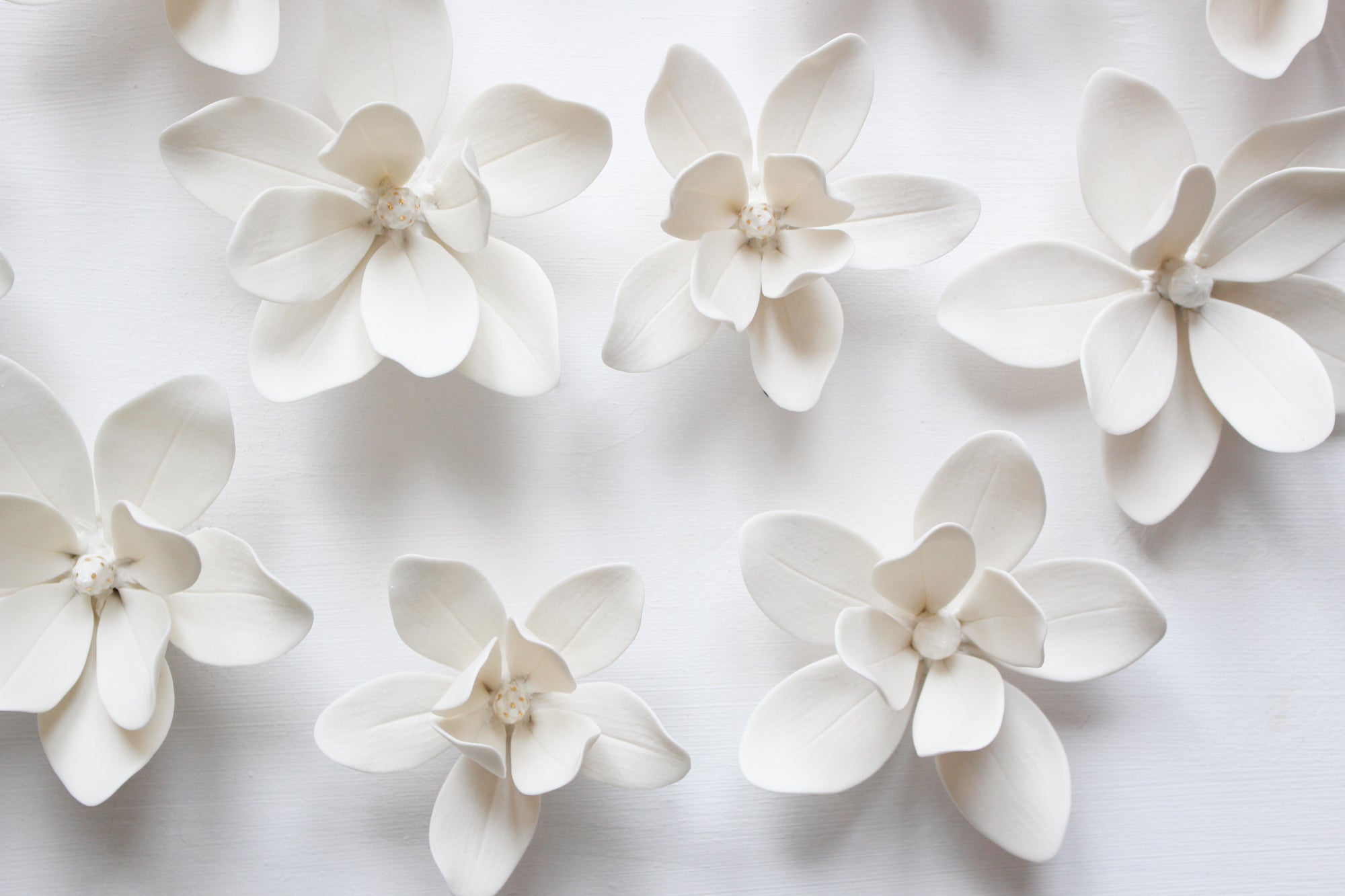 Wall Decor of Porcelain Magnolias by Alain Granell