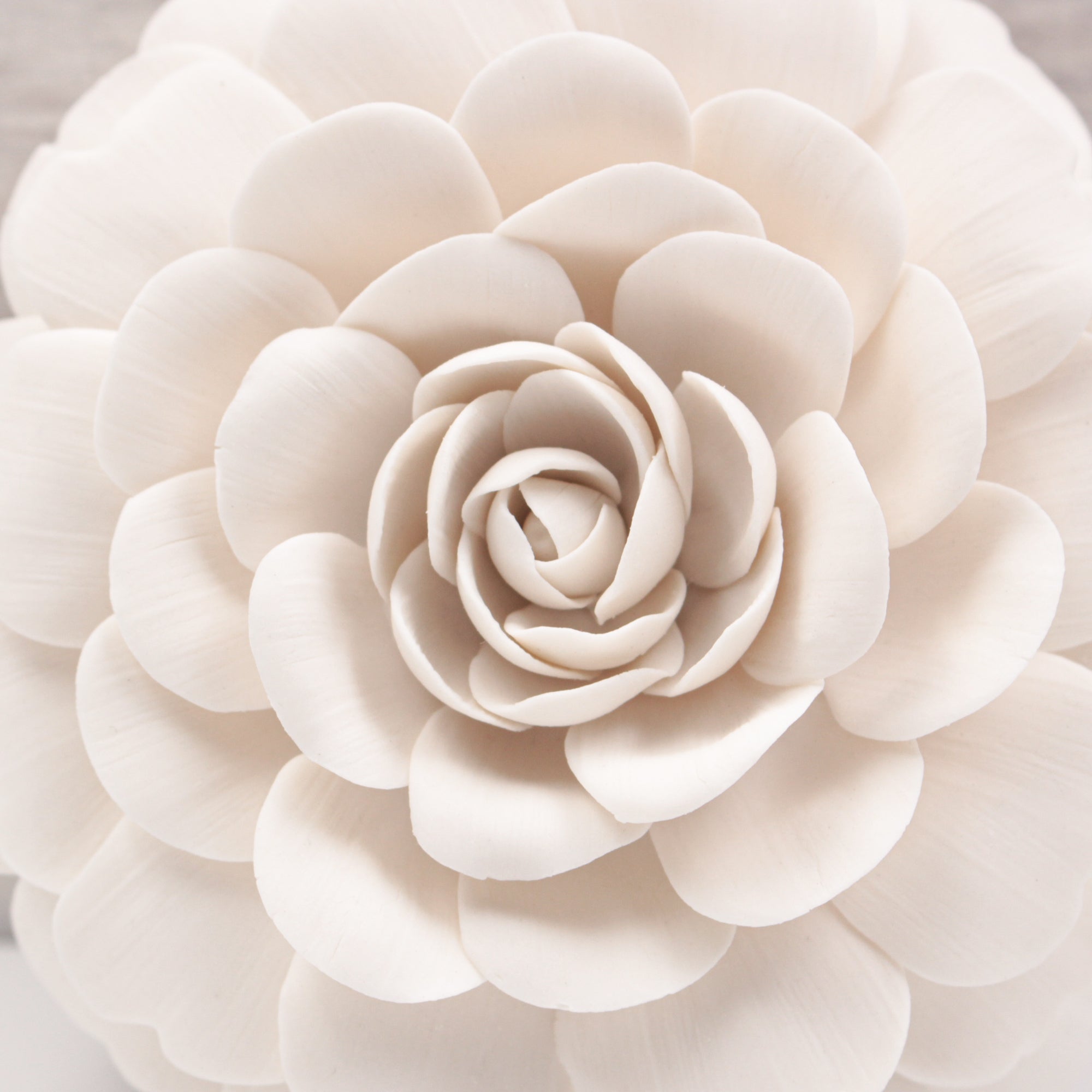 Large Porcelain Camellia- Handmade Porcelain Flower for Interior and Event Decoration - Made in France by Alain Granell 