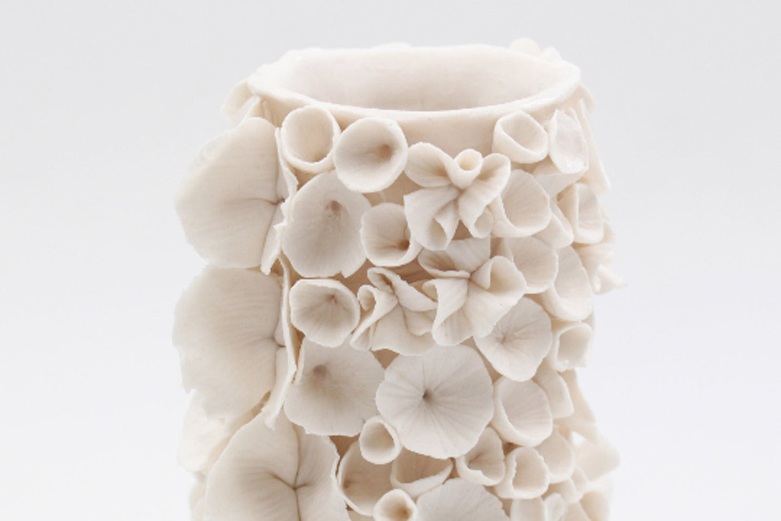 Coral Vase