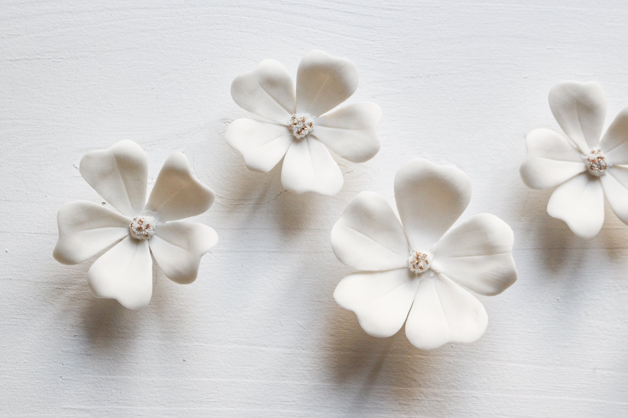 Wall Decor of Porcelain Flowers by Alain Granell