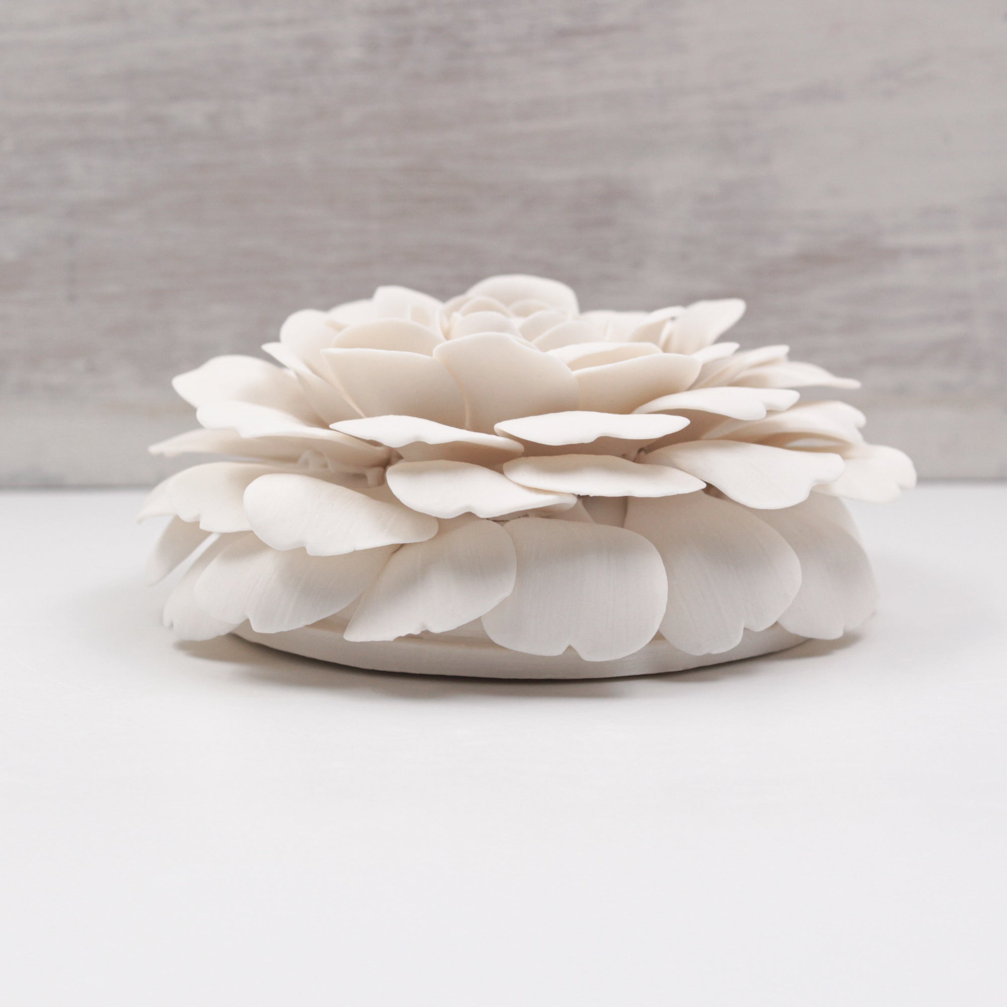 Large Porcelain Camellia- Handmade Porcelain Flower for Interior and Event Decoration - Made in France by Alain Granell - Home and Wall Decoration