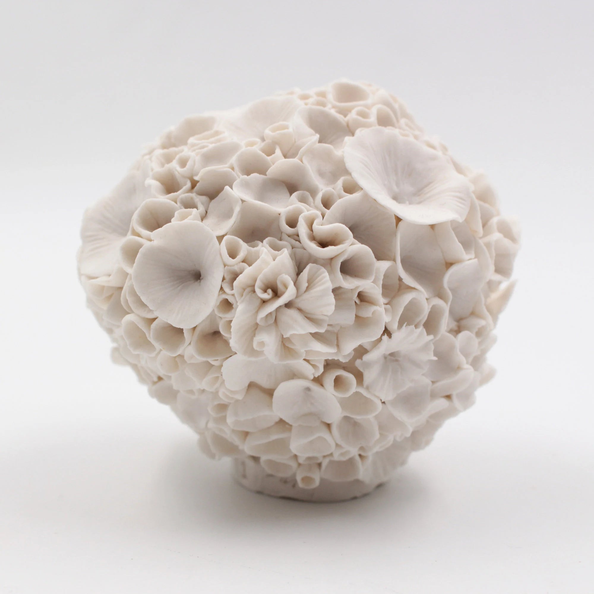 Coral Sculpture - Alain Granell