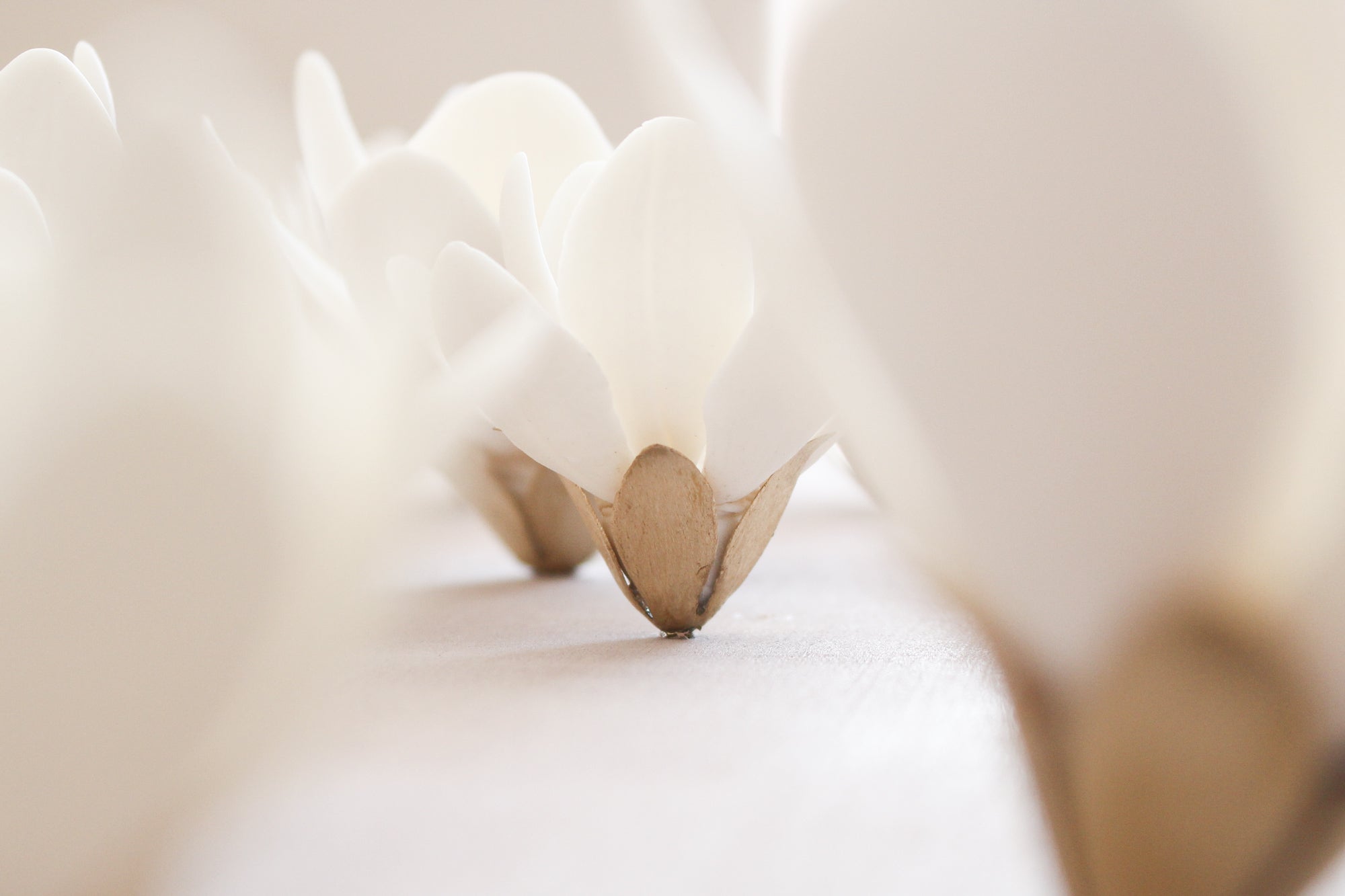 Wall Decor of Porcelain and Brass Magnolias by Alain Granell