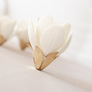 Wall Decor of Porcelain and Brass Magnolias by Alain Granell