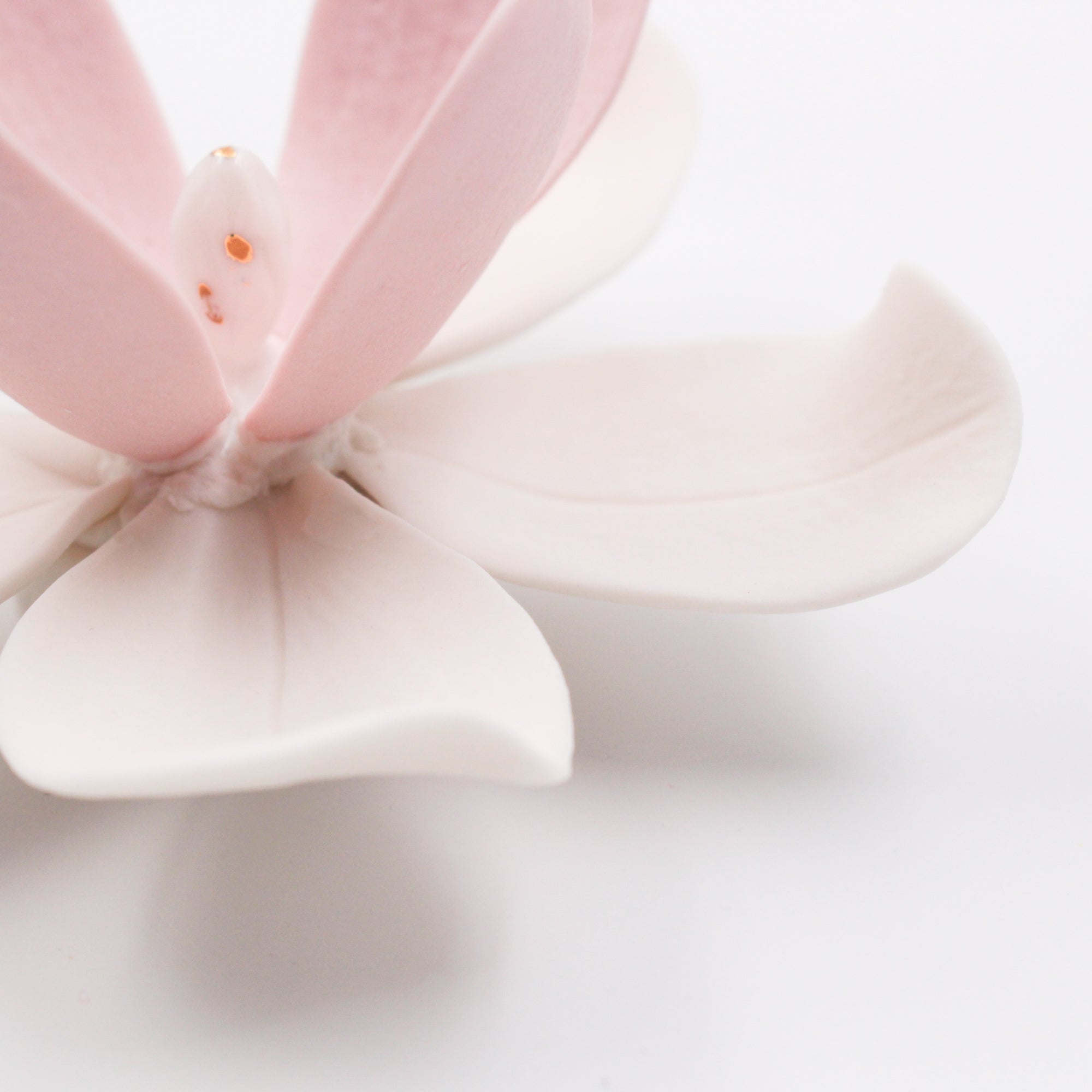 Pink Porcelain Magnolia - Handmade Porcelain Flower for Interior and Event Decoration - Made in France by Alain Granell – Home and Wall Decoration