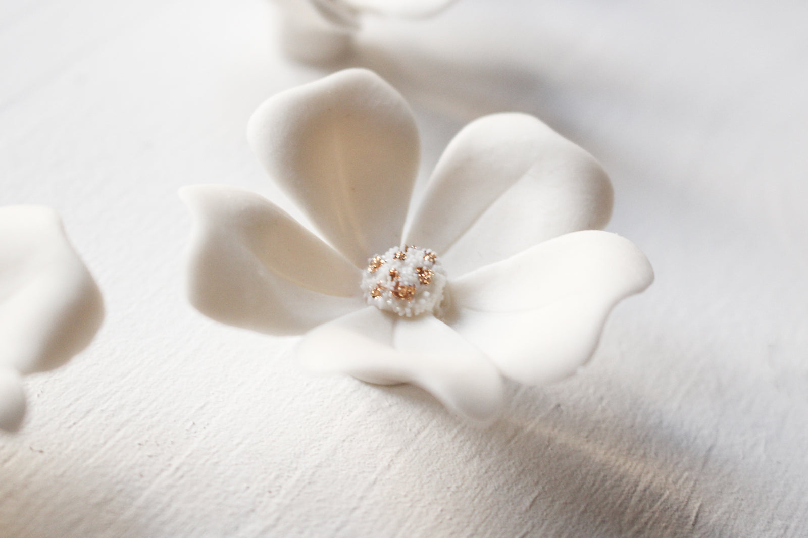 Wall Decor of Porcelain Flowers by Alain Granell