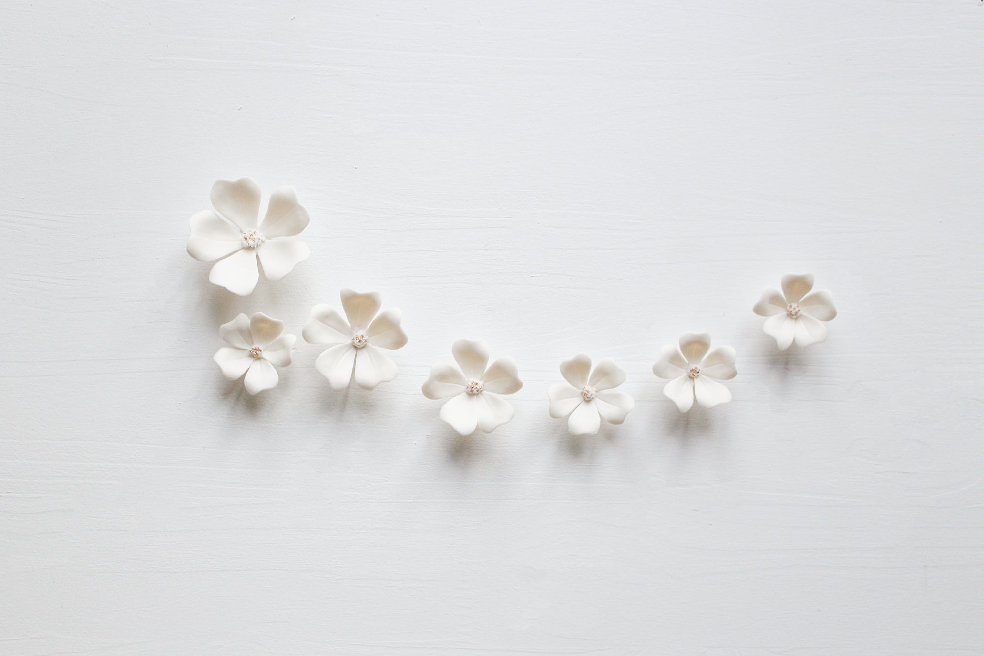 Wall Decor of Porcelain Flowers by Alain Granell