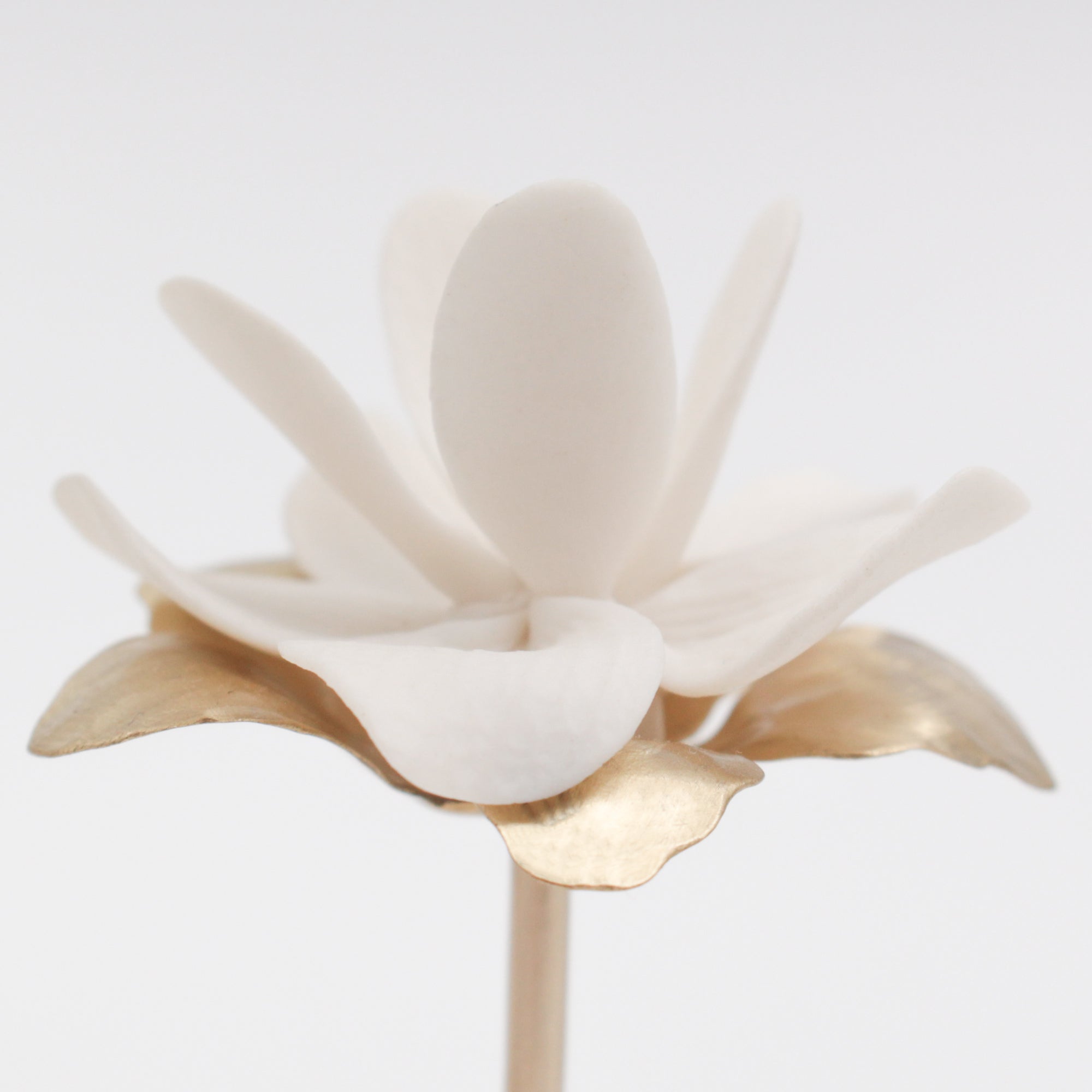 Porcelain magnolia flowers on brass tree for interior decoration - by Alain Granell